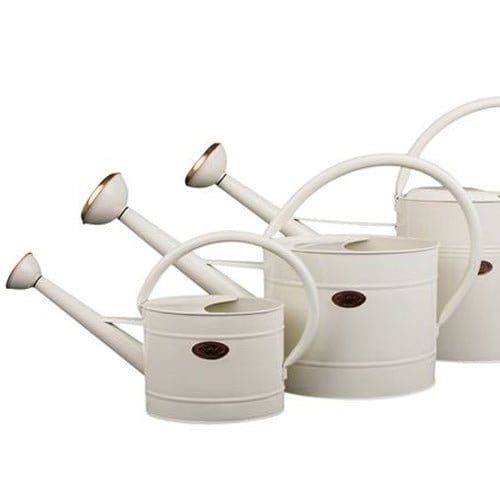 Dowse vandkande, creme. - Blomsterverden